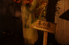 夜の好古園にて④