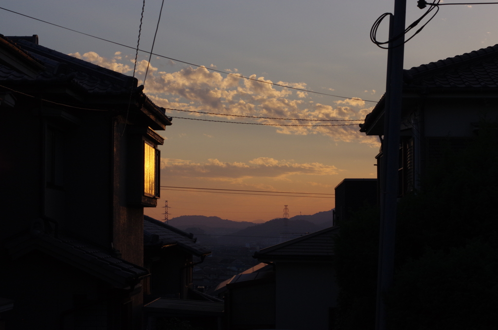 ★55mm試し撮り④