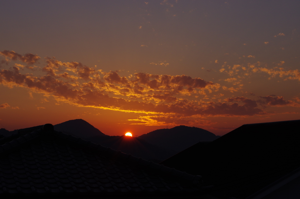 ★55mm試し撮り⑥