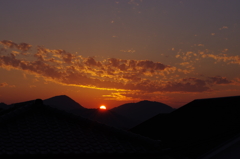 ★55mm試し撮り⑥