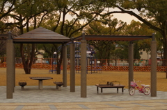 雨上がりの近所の公園③