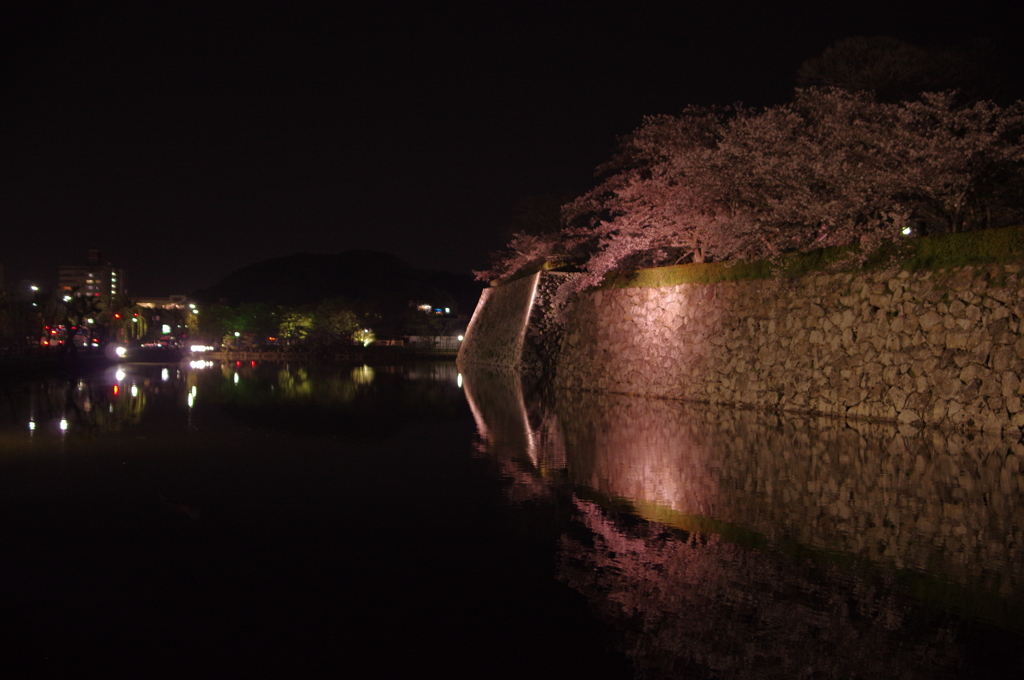 夜桜の姫路城(31mm)　其の⑦