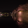夜桜の姫路城(31mm)　其の⑦