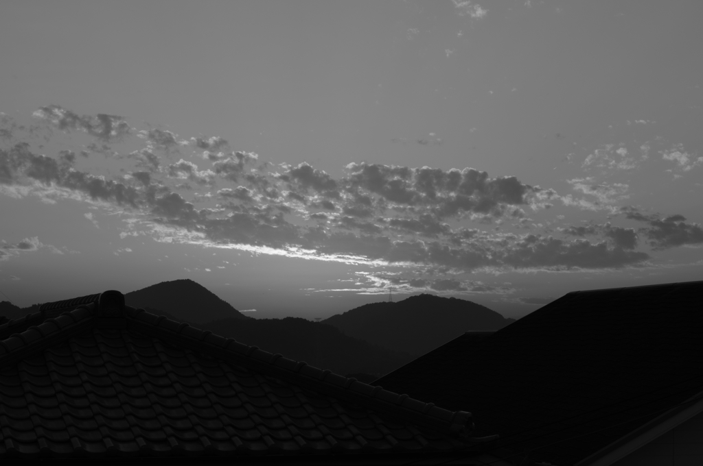 ★55mm試し撮り⑨