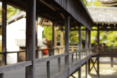 秋き終わりの斑鳩寺にて①