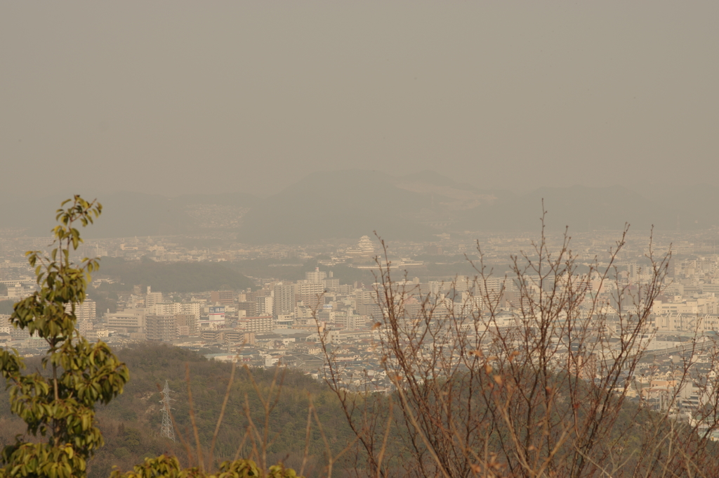 苫編山にて　其の12