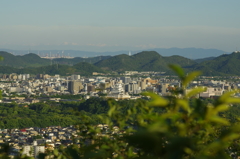 八丈岩山にて　其の⑫