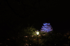 桜と姫路城⑩