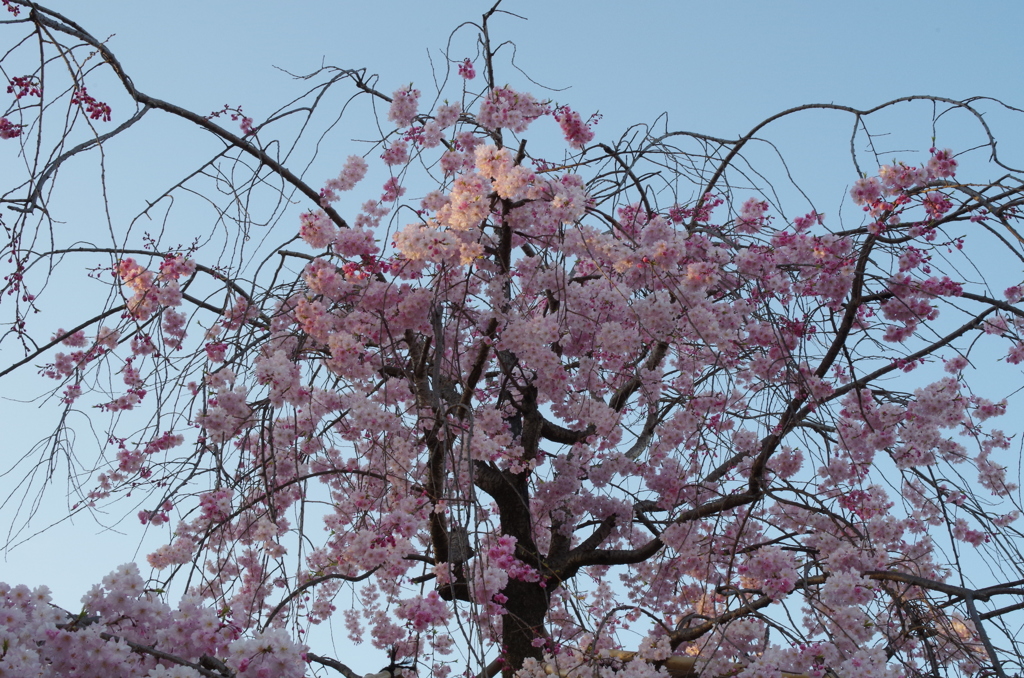 20140404-174518-0