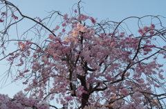20140404-174518-0
