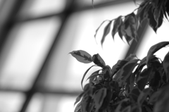 上海浦東空港にて⑧