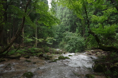 渓流釣りキャンプにて③