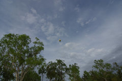 オーストラリアの気球にて　其の⑥