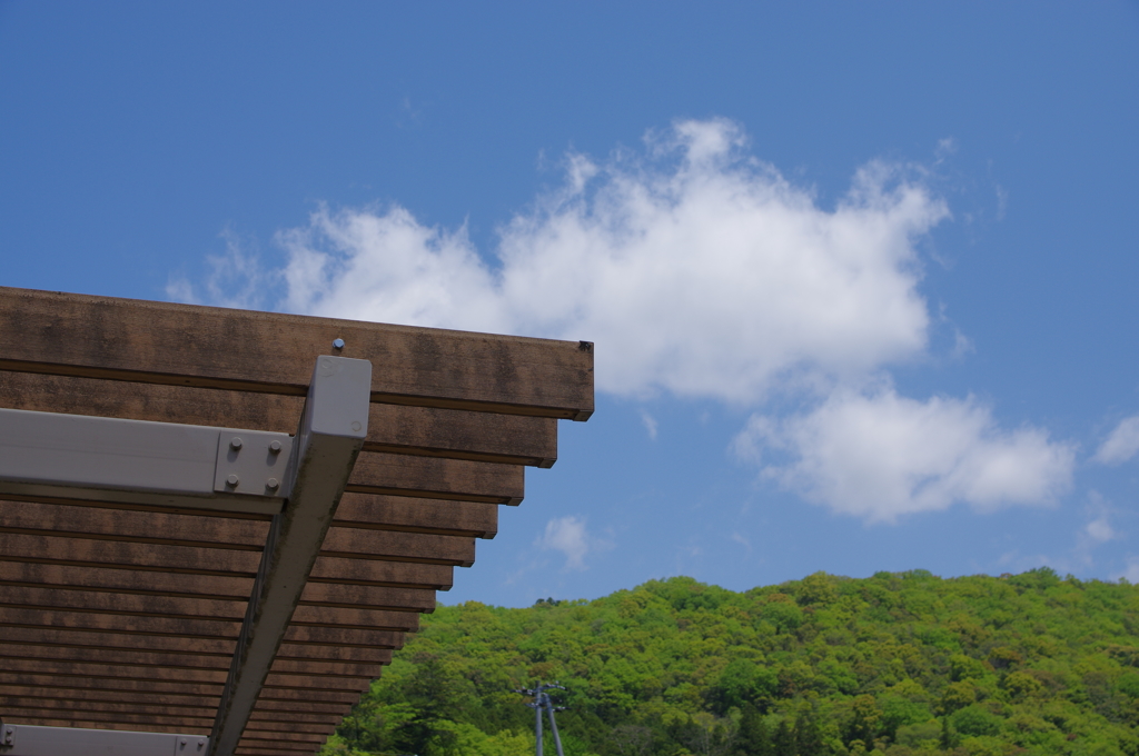 山口　秋芳洞にて　其の①