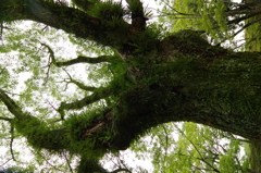 夏、姫路城周辺にて⑤