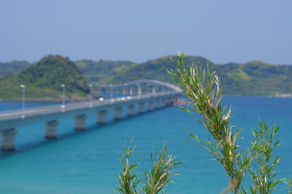 山口　角島にて　其の⑧