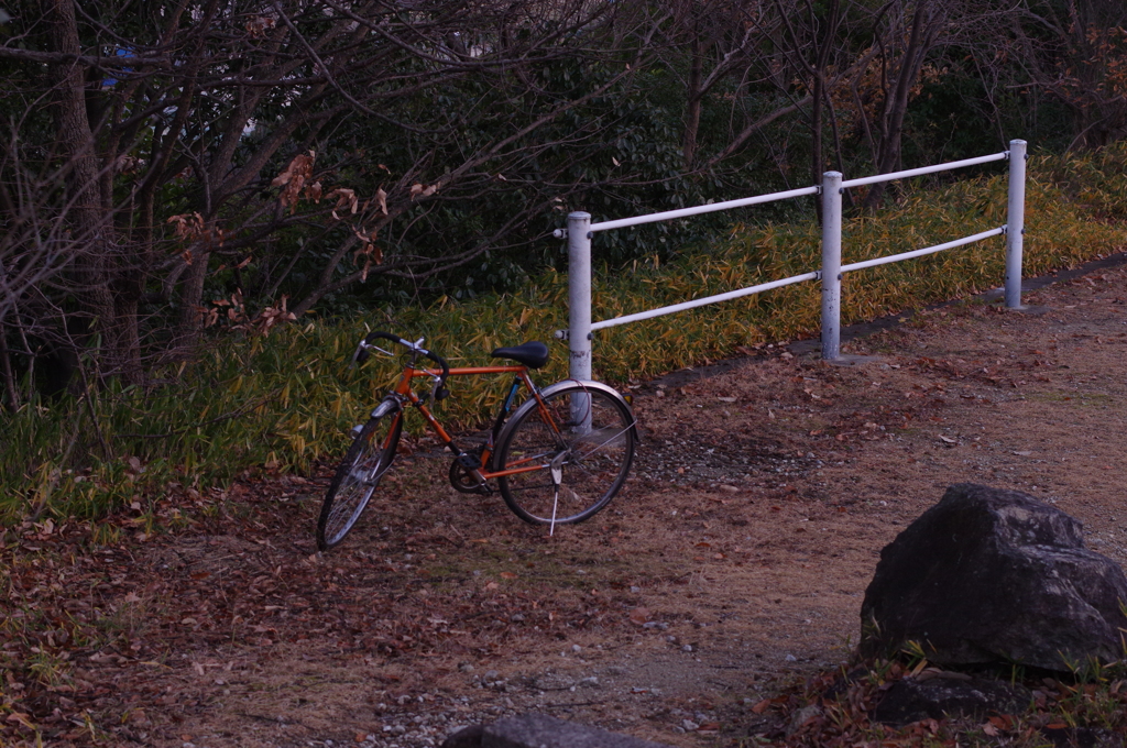 近所の神社にて⑨