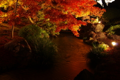 夜の好古園にて⑤