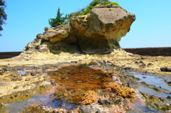 P5311182