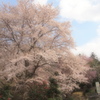 P4050241