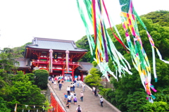 P6271228