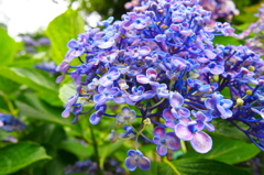 P6271257