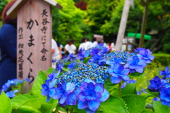 P6271330