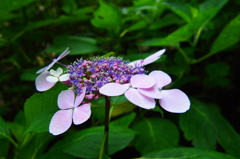 P6301460