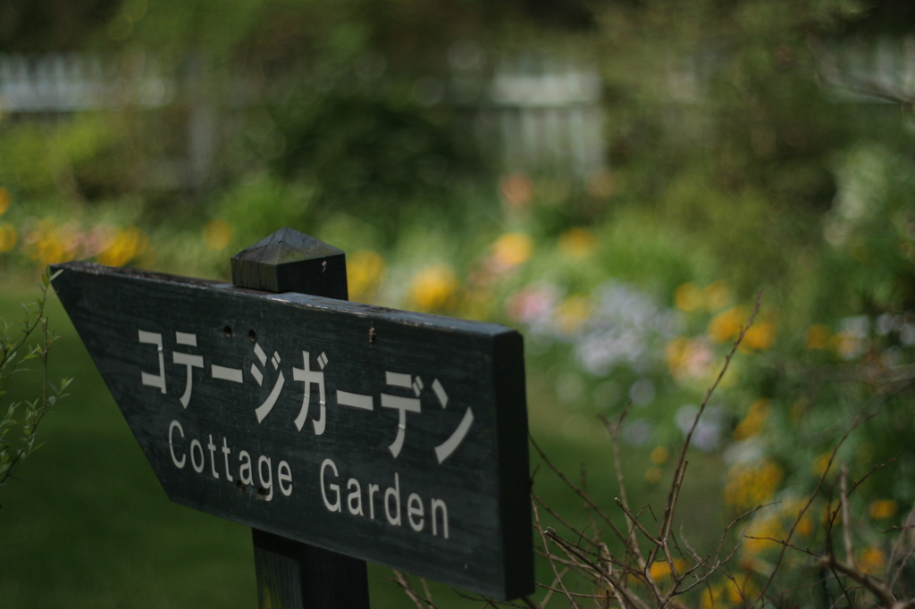 English garden に