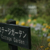English garden に