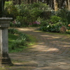 English garden ほ