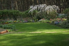 English garden い