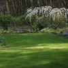 English garden い