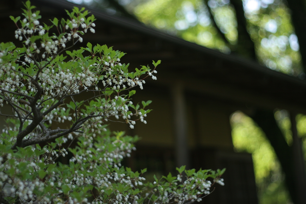 日向景修園