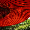 野点傘
