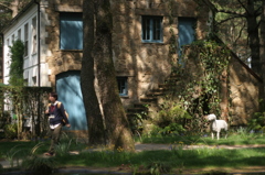 English garden は