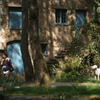 English garden は