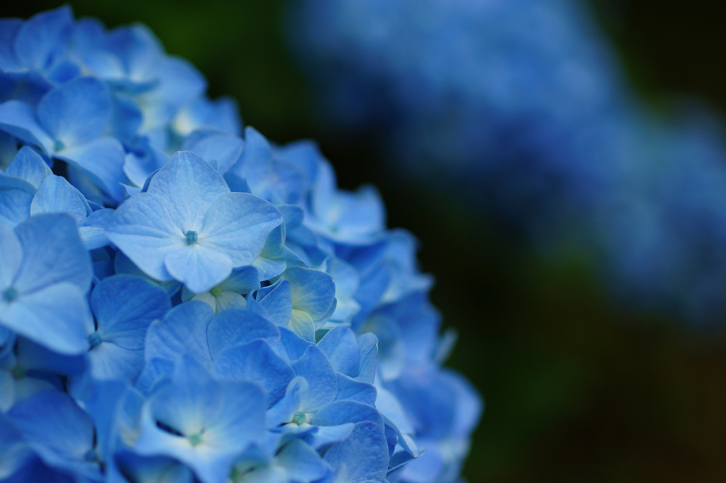 blue world