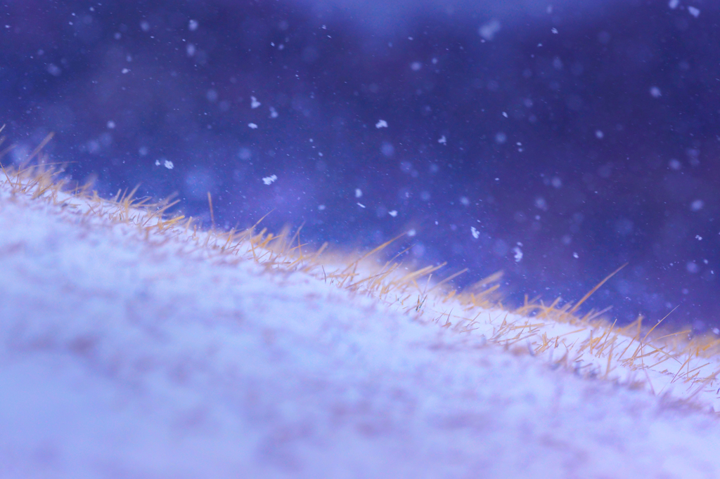 Blizzard