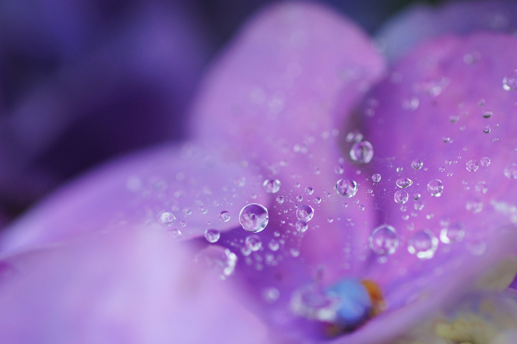 color of rain