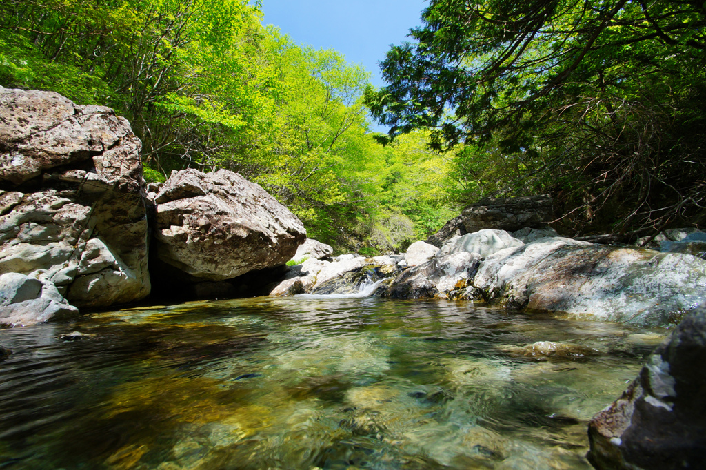 初夏の風景