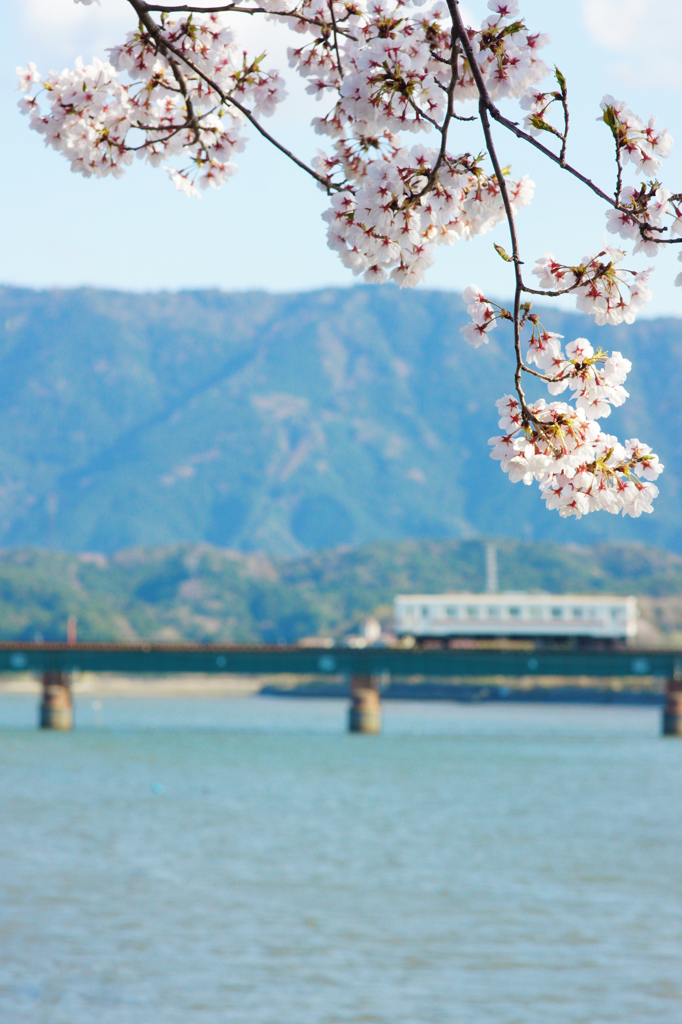 旅立つ君へ花贈る