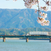旅立つ君へ花贈る