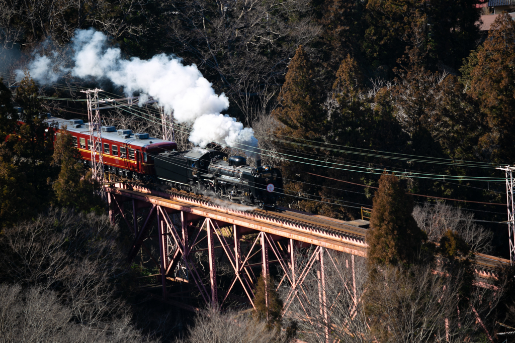 パレオエクスプレス・浦山口駅