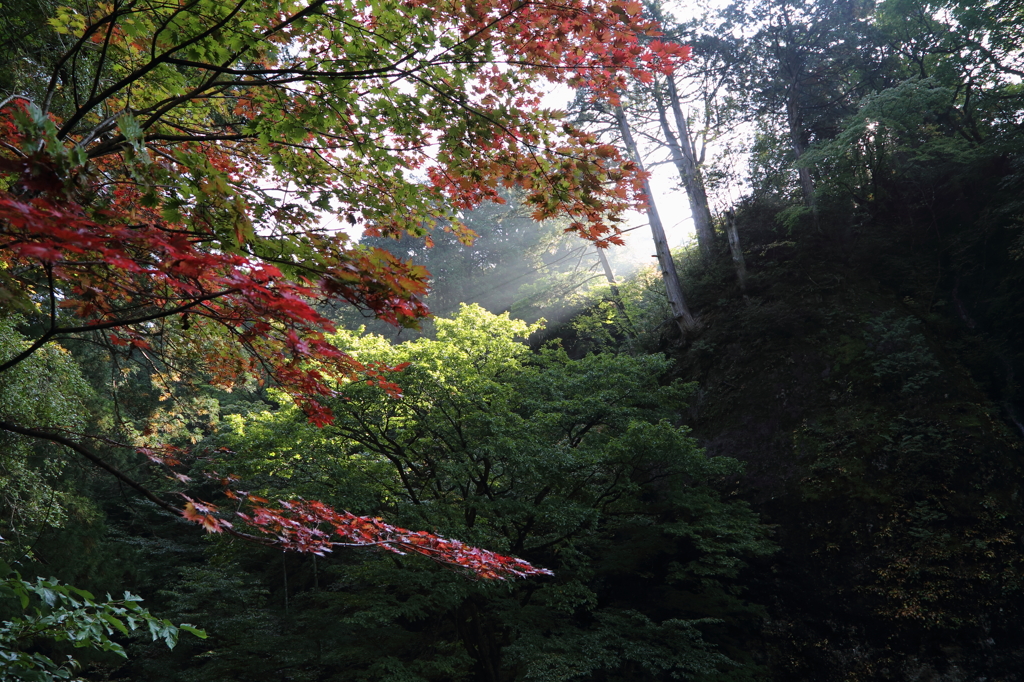 榛名神社