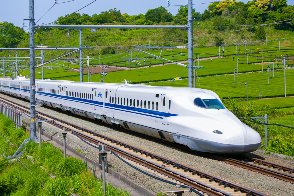 茶畑のそばを走る東海道新幹線