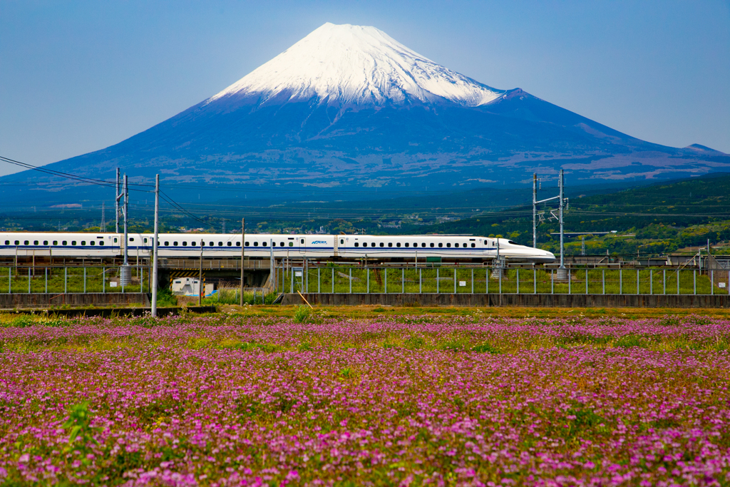 東海道新幹線