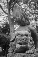 垂水神社　狛犬