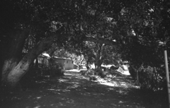 Visiting an orphanage