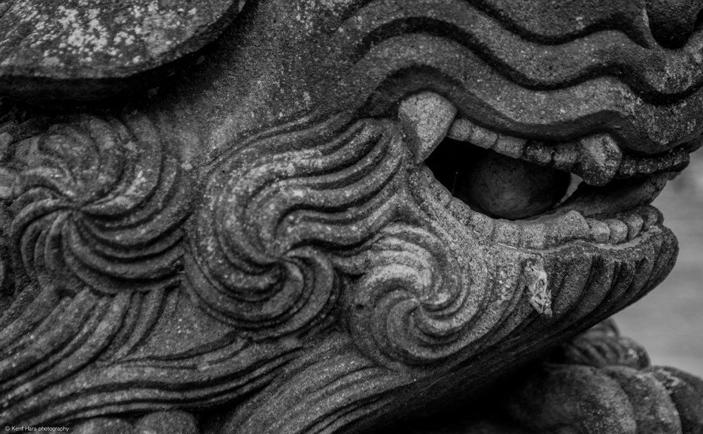 垂水神社　狛犬